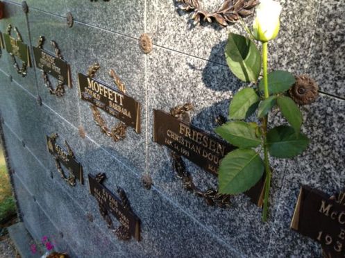 Chris' wall. Dogwood 41.